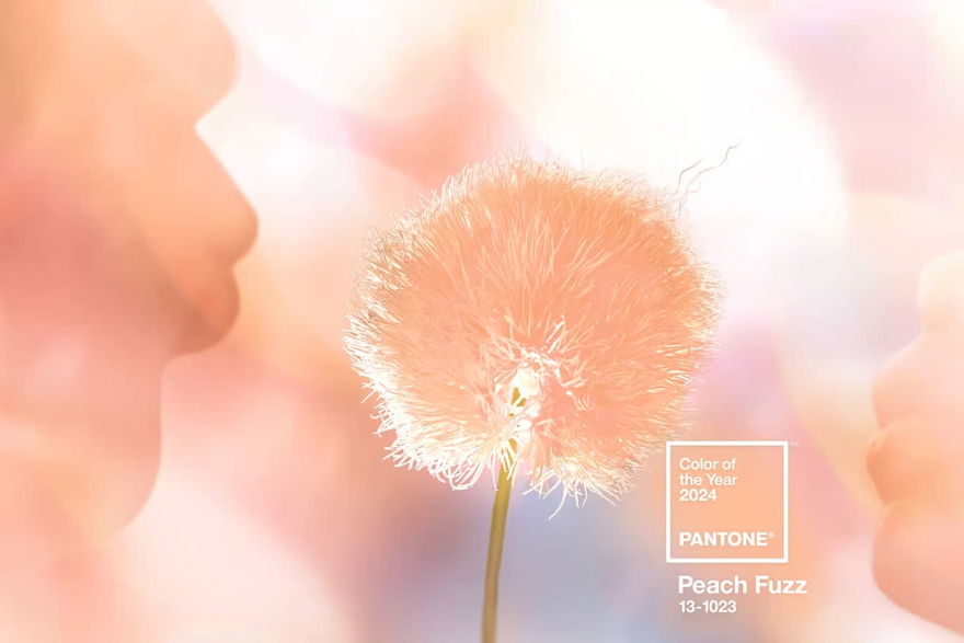 Pantone Peach Fuzz Color of the Year 2024
