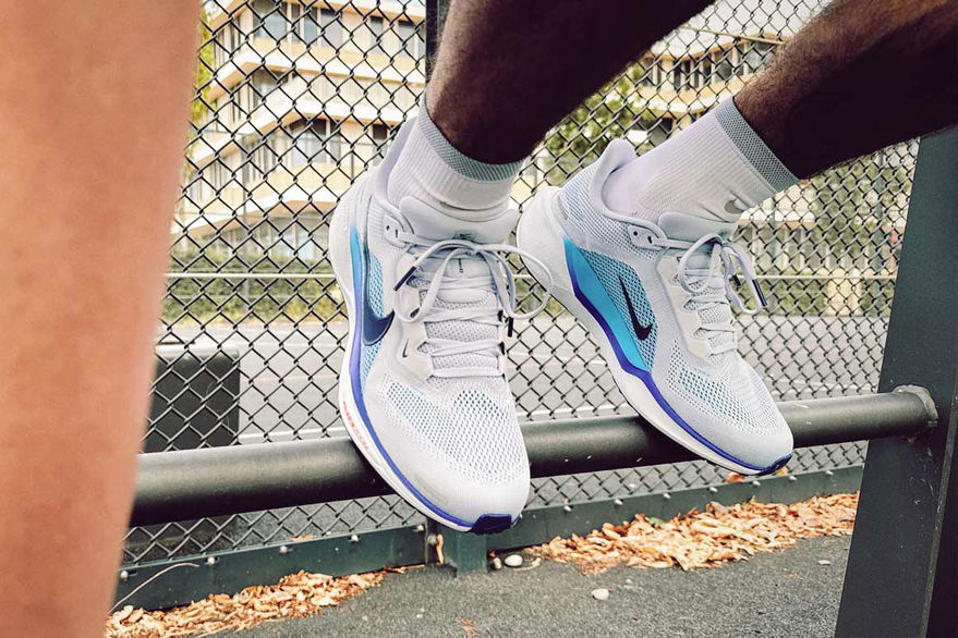 Pegasus 41 Herren On Feet